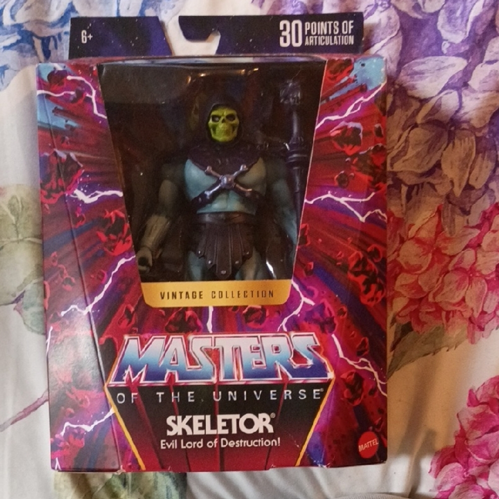 Mattel Masters of the Universe Skeletor Action Figure - Green and Purple
